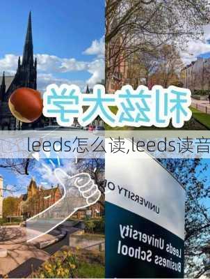 leeds怎么读,leeds读音