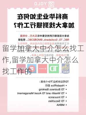 留学加拿大中介怎么找工作,留学加拿大中介怎么找工作的