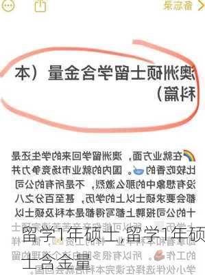 留学1年硕士,留学1年硕士含金量