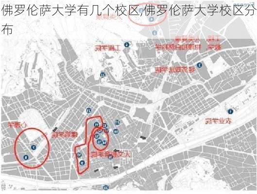 佛罗伦萨大学有几个校区,佛罗伦萨大学校区分布