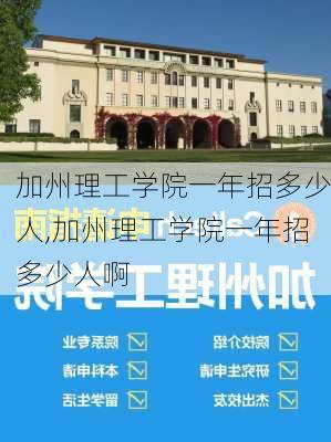 加州理工学院一年招多少人,加州理工学院一年招多少人啊