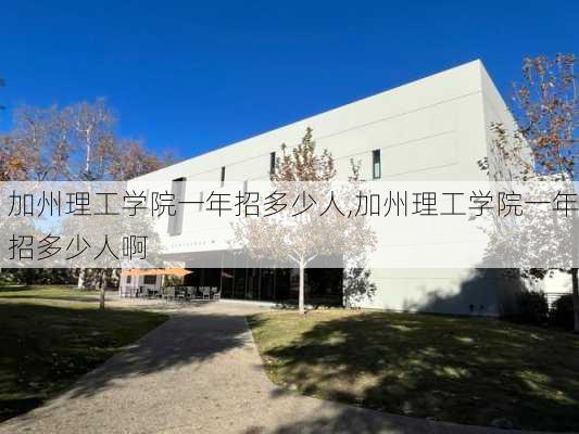 加州理工学院一年招多少人,加州理工学院一年招多少人啊