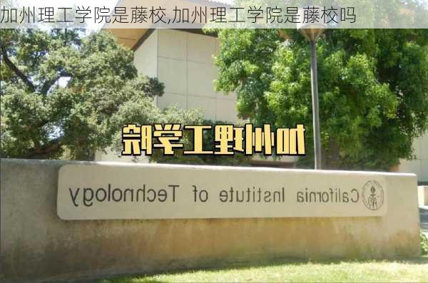 加州理工学院是藤校,加州理工学院是藤校吗