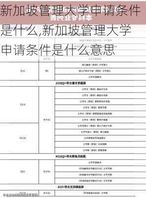 新加坡管理大学申请条件是什么,新加坡管理大学申请条件是什么意思