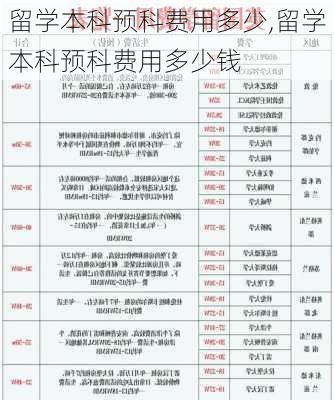 留学本科预科费用多少,留学本科预科费用多少钱