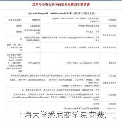 上海大学悉尼商学院 花费,