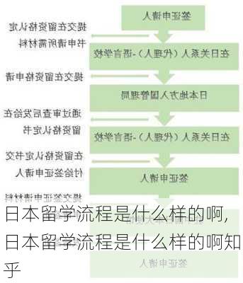 日本留学流程是什么样的啊,日本留学流程是什么样的啊知乎