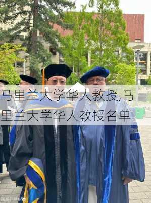 马里兰大学华人教授,马里兰大学华人教授名单