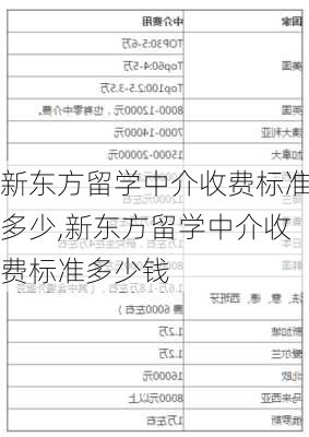 新东方留学中介收费标准多少,新东方留学中介收费标准多少钱