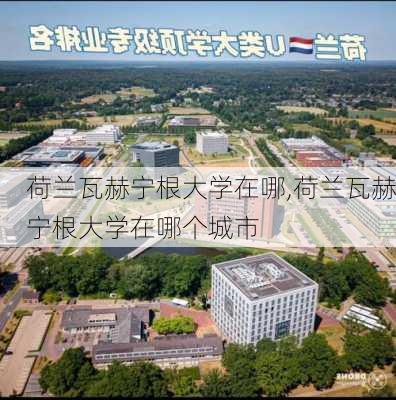 荷兰瓦赫宁根大学在哪,荷兰瓦赫宁根大学在哪个城市