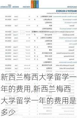 新西兰梅西大学留学一年的费用,新西兰梅西大学留学一年的费用是多少