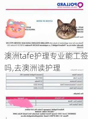 澳洲tafe护理专业能工签吗,去澳洲读护理