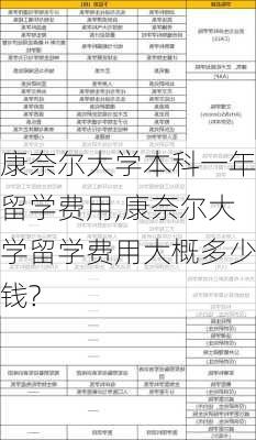 康奈尔大学本科一年留学费用,康奈尔大学留学费用大概多少钱?