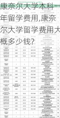 康奈尔大学本科一年留学费用,康奈尔大学留学费用大概多少钱?