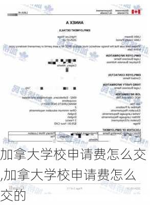 加拿大学校申请费怎么交,加拿大学校申请费怎么交的