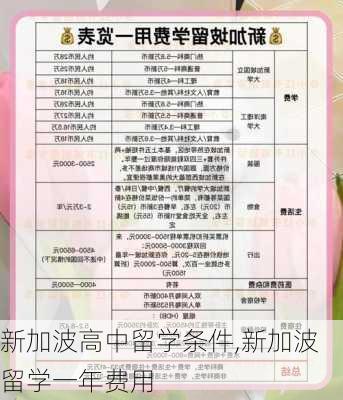 新加波高中留学条件,新加波留学一年费用