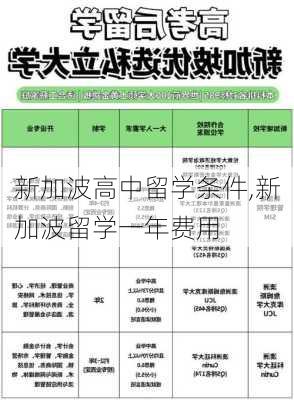 新加波高中留学条件,新加波留学一年费用