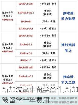 新加波高中留学条件,新加波留学一年费用