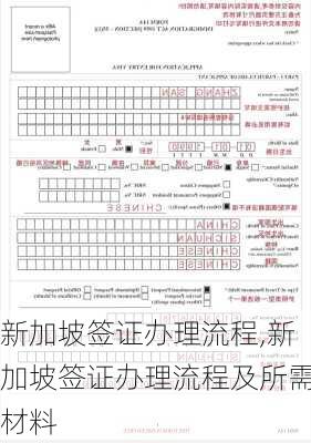 新加坡签证办理流程,新加坡签证办理流程及所需材料