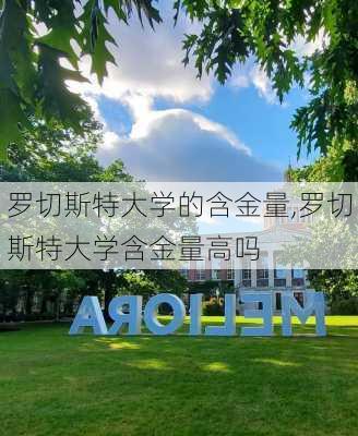 罗切斯特大学的含金量,罗切斯特大学含金量高吗