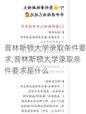 普林斯顿大学录取条件要求,普林斯顿大学录取条件要求是什么