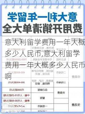 意大利留学费用一年大概多少人民币,意大利留学费用一年大概多少人民币啊