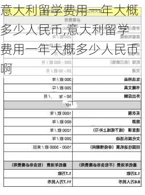 意大利留学费用一年大概多少人民币,意大利留学费用一年大概多少人民币啊