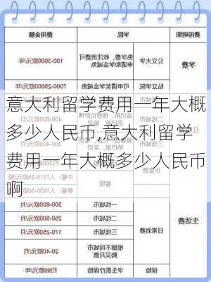 意大利留学费用一年大概多少人民币,意大利留学费用一年大概多少人民币啊