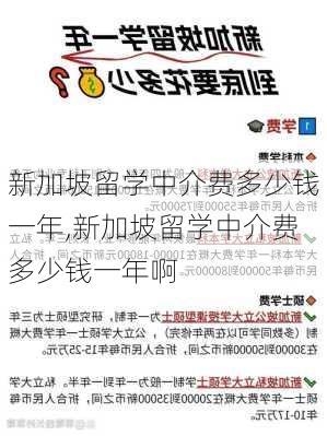 新加坡留学中介费多少钱一年,新加坡留学中介费多少钱一年啊