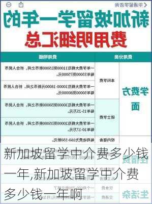 新加坡留学中介费多少钱一年,新加坡留学中介费多少钱一年啊