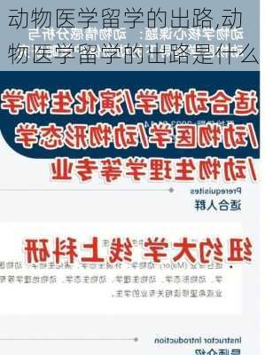 动物医学留学的出路,动物医学留学的出路是什么