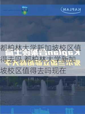 都柏林大学新加坡校区值得去吗,都柏林大学新加坡校区值得去吗现在