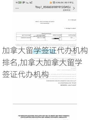 加拿大留学签证代办机构排名,加拿大加拿大留学签证代办机构