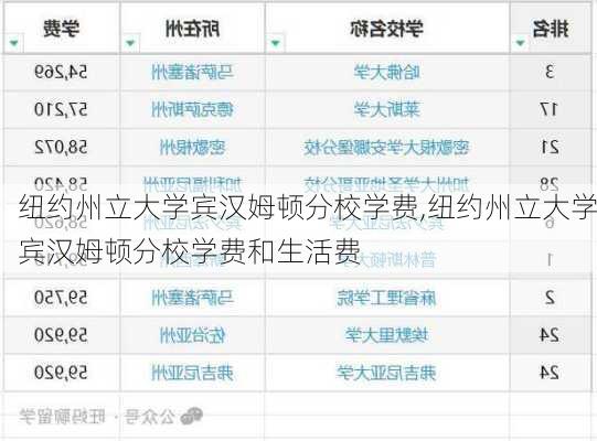 纽约州立大学宾汉姆顿分校学费,纽约州立大学宾汉姆顿分校学费和生活费