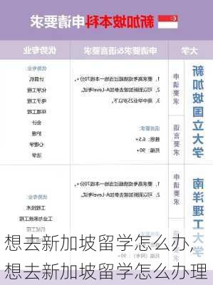 想去新加坡留学怎么办,想去新加坡留学怎么办理