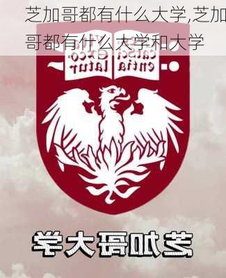 芝加哥都有什么大学,芝加哥都有什么大学和大学