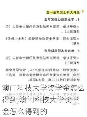 澳门科技大学奖学金怎么得到,澳门科技大学奖学金怎么得到的