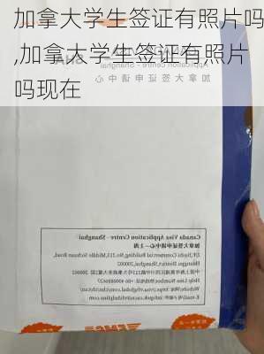 加拿大学生签证有照片吗,加拿大学生签证有照片吗现在