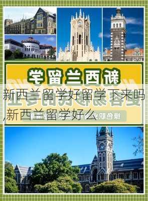 新西兰留学好留学下来吗,新西兰留学好么