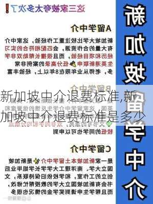 新加坡中介退费标准,新加坡中介退费标准是多少