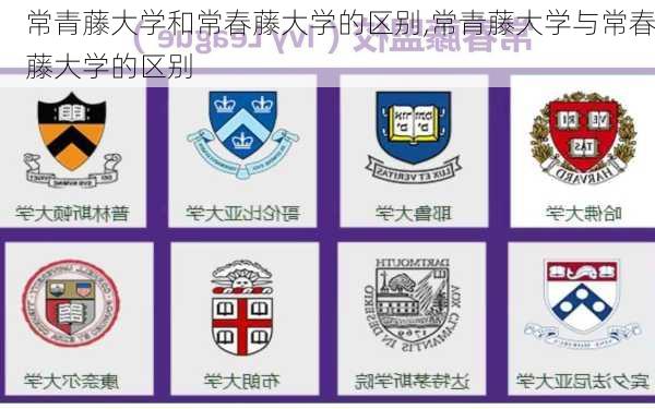 常青藤大学和常春藤大学的区别,常青藤大学与常春藤大学的区别