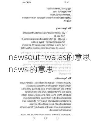 newsouthwales的意思,news 的意思