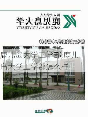 鹿儿岛大学工学部,鹿儿岛大学工学部怎么样