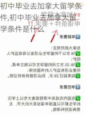 初中毕业去加拿大留学条件,初中毕业去加拿大留学条件是什么