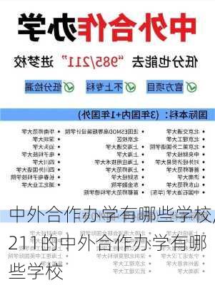 中外合作办学有哪些学校,211的中外合作办学有哪些学校