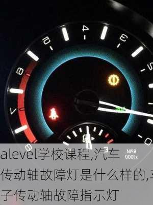 alevel学校课程,汽车传动轴故障灯是什么样的,车子传动轴故障指示灯