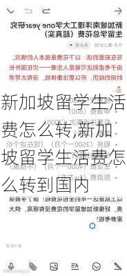 新加坡留学生活费怎么转,新加坡留学生活费怎么转到国内