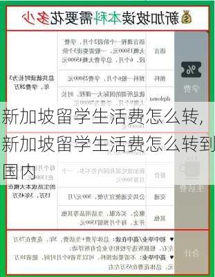 新加坡留学生活费怎么转,新加坡留学生活费怎么转到国内