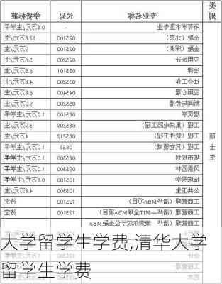 大学留学生学费,清华大学留学生学费