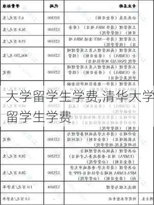 大学留学生学费,清华大学留学生学费